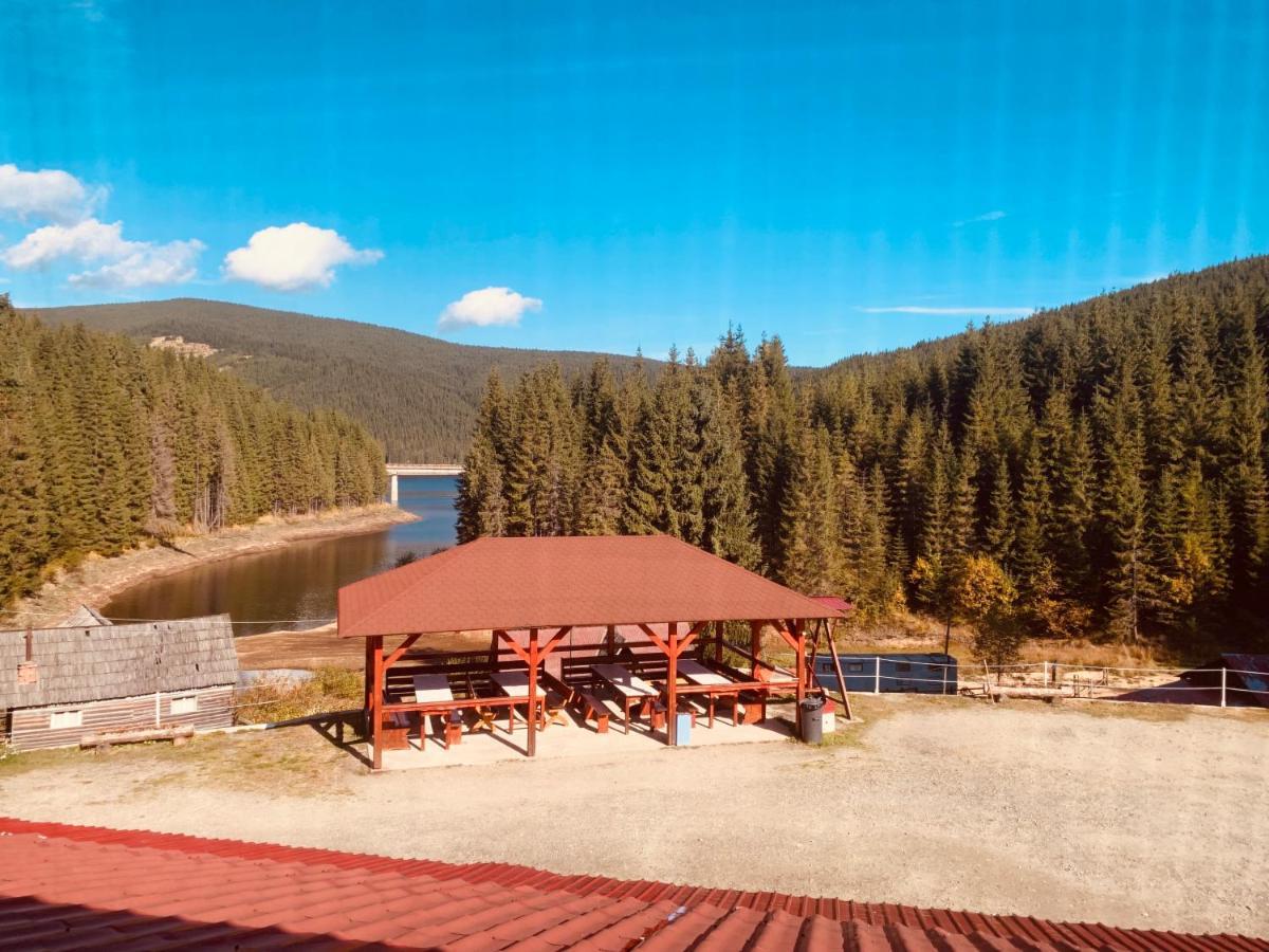 בית הארחה Cerbul-oasa-transalpina Ciban